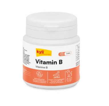 Vitamin B 120 g - PetExpress
